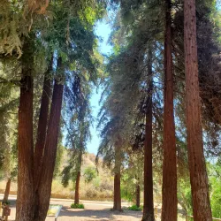 Carbon Canyon Regional Park - Chino Hills