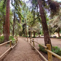 Carbon Canyon Regional Park - Chino Hills