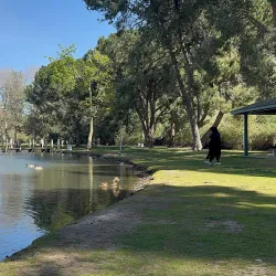 Carbon Canyon Regional Park - Chino Hills