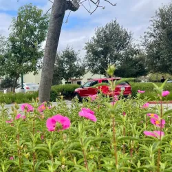 Chino Hills Community Center - Chino Hills