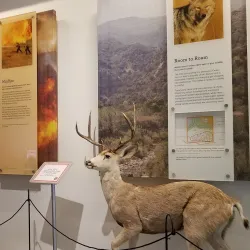 Chino Hills State Park Visitor Center - Chino Hills