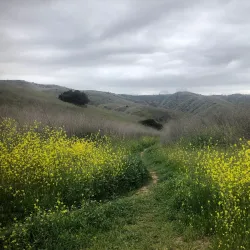 Chino Hills State Park Visitor Center - Chino Hills