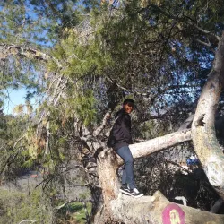 Perris Hill Park - Chino Hills