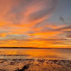 Bayfront Park - Chula Vista