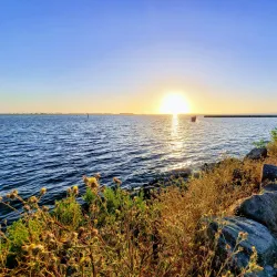Bayfront Park - Chula Vista