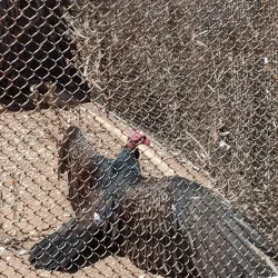 Living Coast Discovery Center - Chula Vista