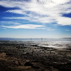 Living Coast Discovery Center - Chula Vista