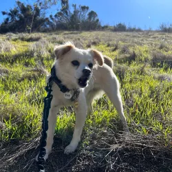 Otay Valley Regional Park - Chula Vista