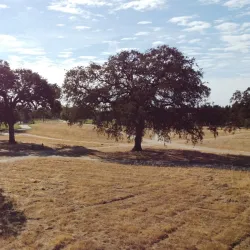 Antelope Crossing Park - Citrus Heights