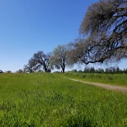 Antelope Crossing Park - Citrus Heights