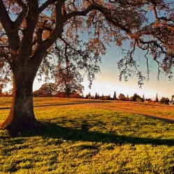 Antelope Crossing Park - Citrus Heights