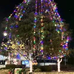 Civic Center Park - Citrus Heights