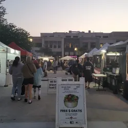 Civic Center Park - Citrus Heights