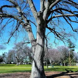 Rusch Park - Citrus Heights