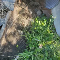 Sunrise Recreation and Park District - Citrus Heights