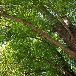 Sunrise Recreation and Park District - Citrus Heights