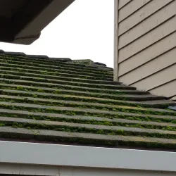 Sylvan Oaks Park - Citrus Heights