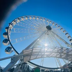 Empire Polo Club - Coachella