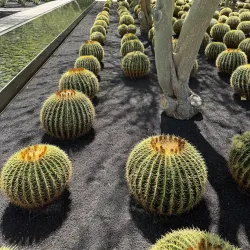 Sunnylands Center & Gardens - Coachella