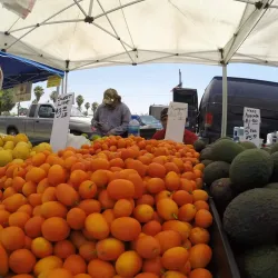 Colton Farmers Market - Colton