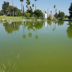 Colton Golf Course - Colton