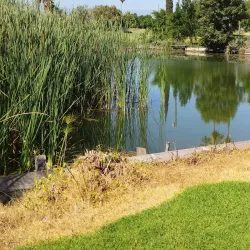 Colton Golf Course - Colton