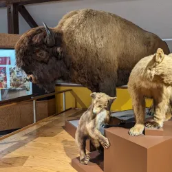 San Bernardino County Museum - Colton