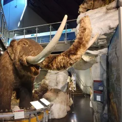 San Bernardino County Museum - Colton