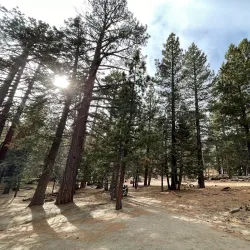 San Bernardino National Forest (nearby) - Colton