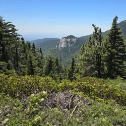 San Bernardino National Forest (nearby) - Colton