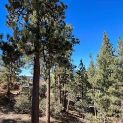 San Bernardino National Forest (nearby) - Colton