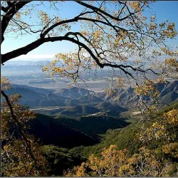 San Bernardino National Forest (nearby) - Colton