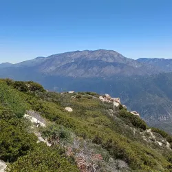 San Bernardino National Forest (nearby) - Colton