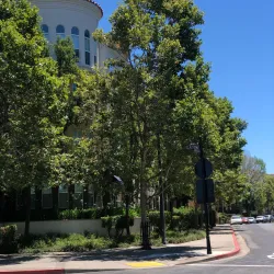 Concord Historical Society Museum - Concord