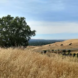 Lime Ridge Open Space - Concord