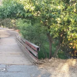 Markham Nature Park and Arboretum - Concord