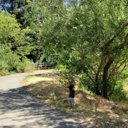 Markham Nature Park and Arboretum - Concord