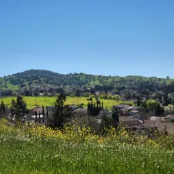 Newhall Community Park - Concord