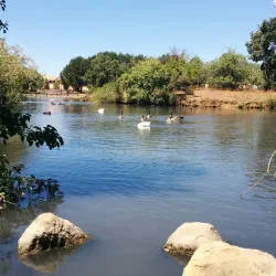 Newhall Community Park - Concord