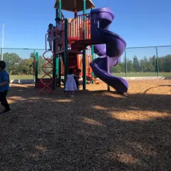 Newhall Community Park - Concord