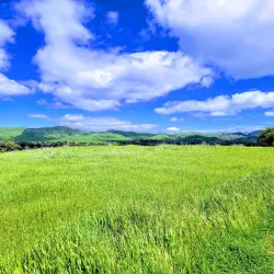 Newhall Community Park - Concord