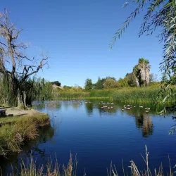 Newhall Community Park - Concord