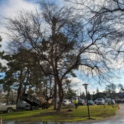 Corcoran City Park - Corcoran