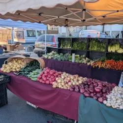 Local Farmers Markets - Corcoran
