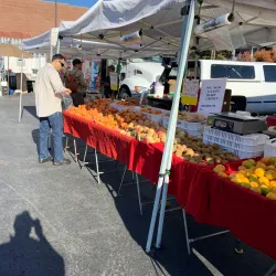 Local Farmers Markets - Corcoran