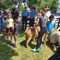 Corona City Park - Corona