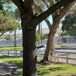 Corona City Park - Corona