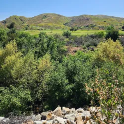 Corona Municipal Airport - Corona