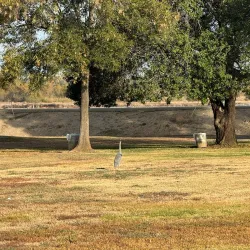 Corona Municipal Airport - Corona