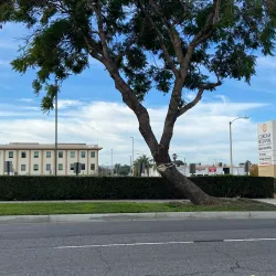 Corona Regional Medical Center - Corona